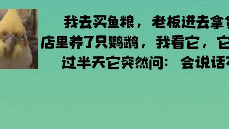 火锅底料保质期怎么看？揭秘保质期背后的秘密