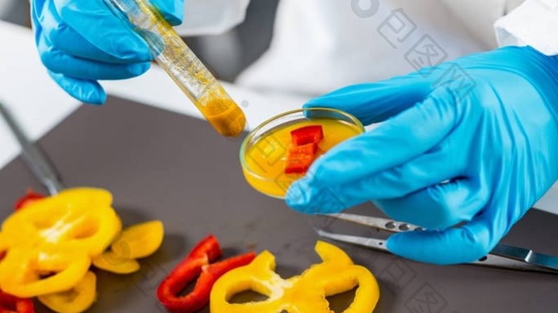 小标题：预制菜保质期的定义与重要性